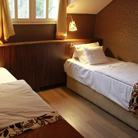 Szekely Gæstehus Leányfalu