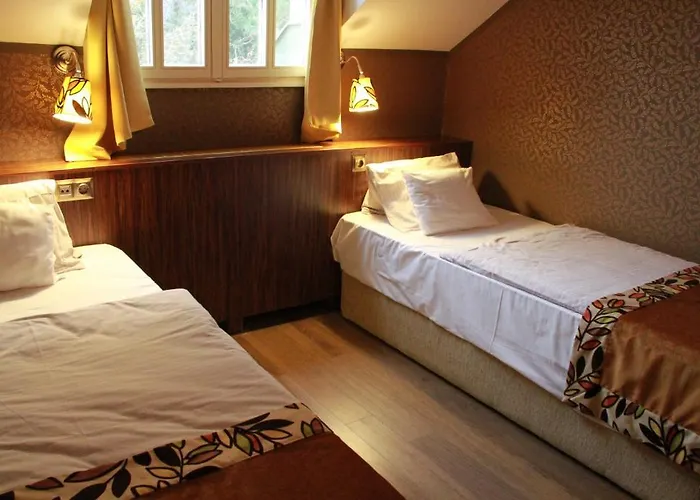 Szekely Гостевой дом Леаньфалу